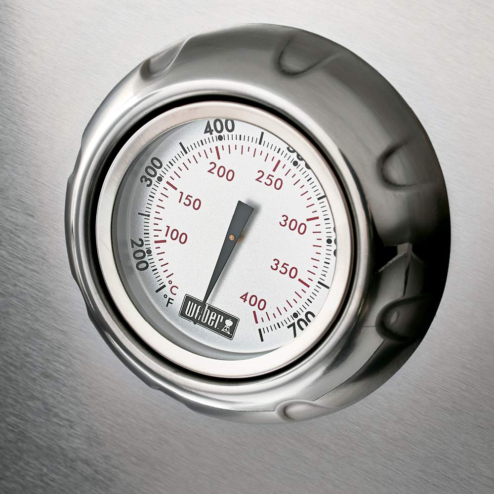 Weber Summit S-670 Gas Grill – Premium 6-Burner Stainless Steel BBQ with Sear Station, Rotisserie, Smoker & Side Burner