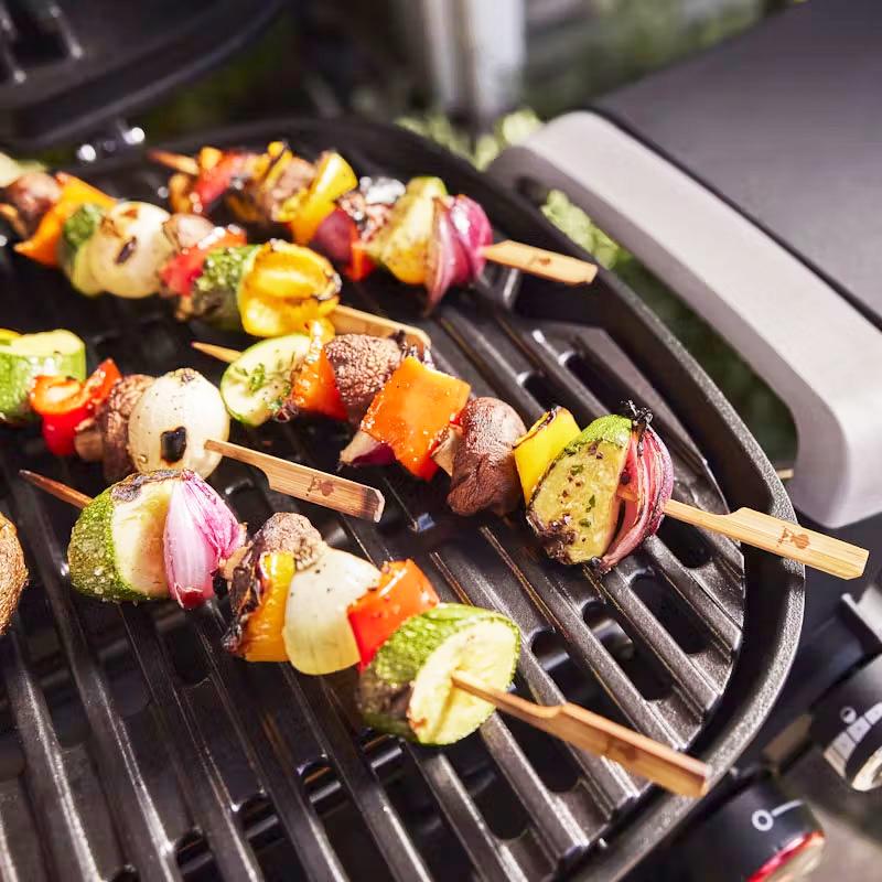 Weber Q2800N+ Black Gas Grill (Model 1501206) | Premium Portable BBQ Grill
