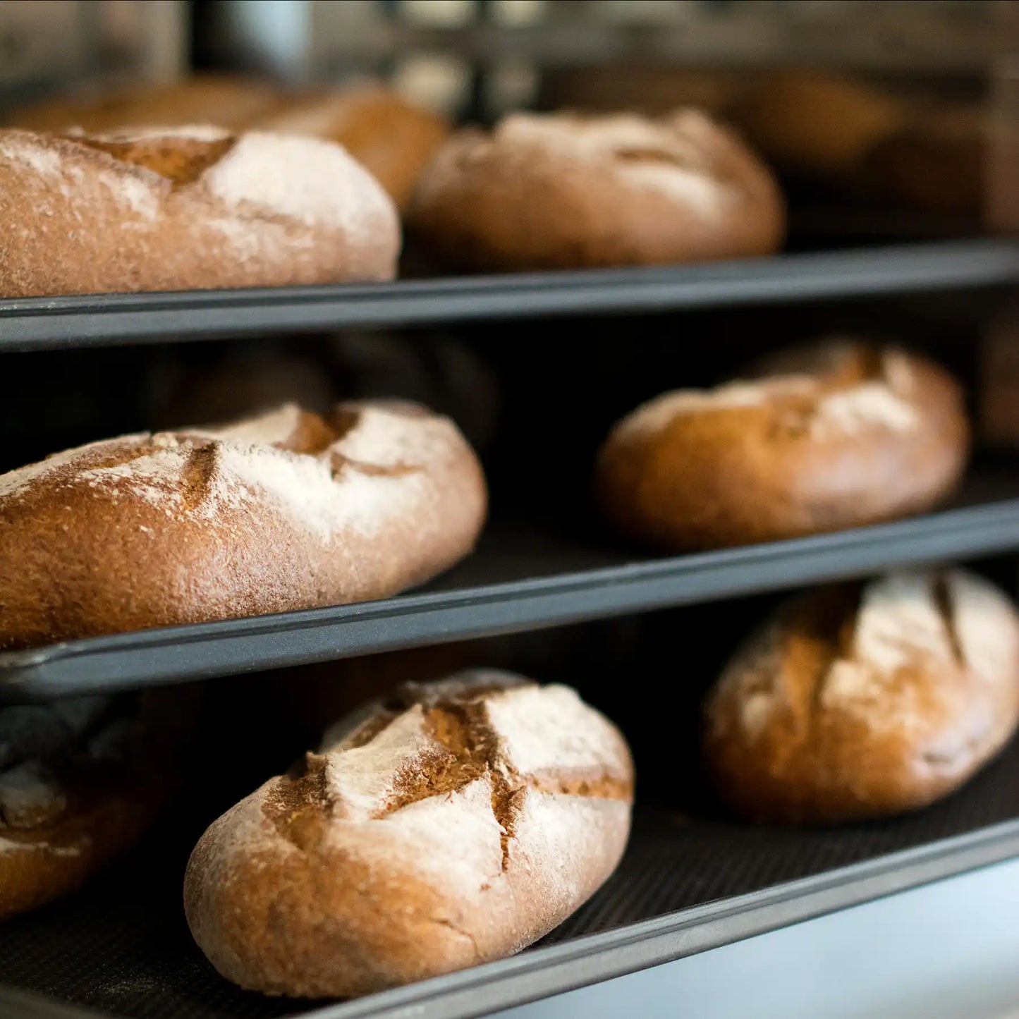 Unox BAKERLUX SHOP.Pro™ LED XEFR-04HS-ELDP Arianna Commercial convection ovens with humidity