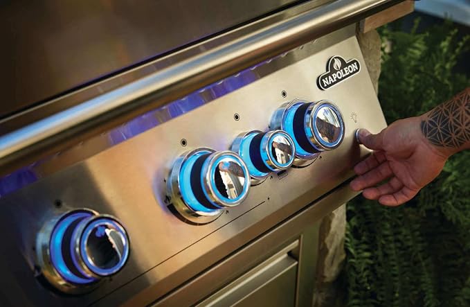 Napoleon Built-In 700 Series 32" LPG Gas Grill with Infrared Rear Burner, 4 Main Burners (BIG32RBPSS-1-RC)